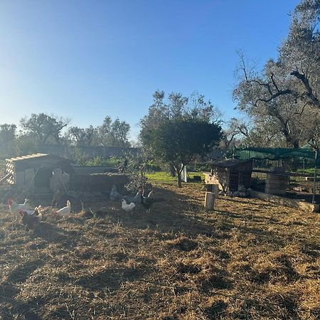 Tenuta Calitre Melendugno Exteriér fotografie