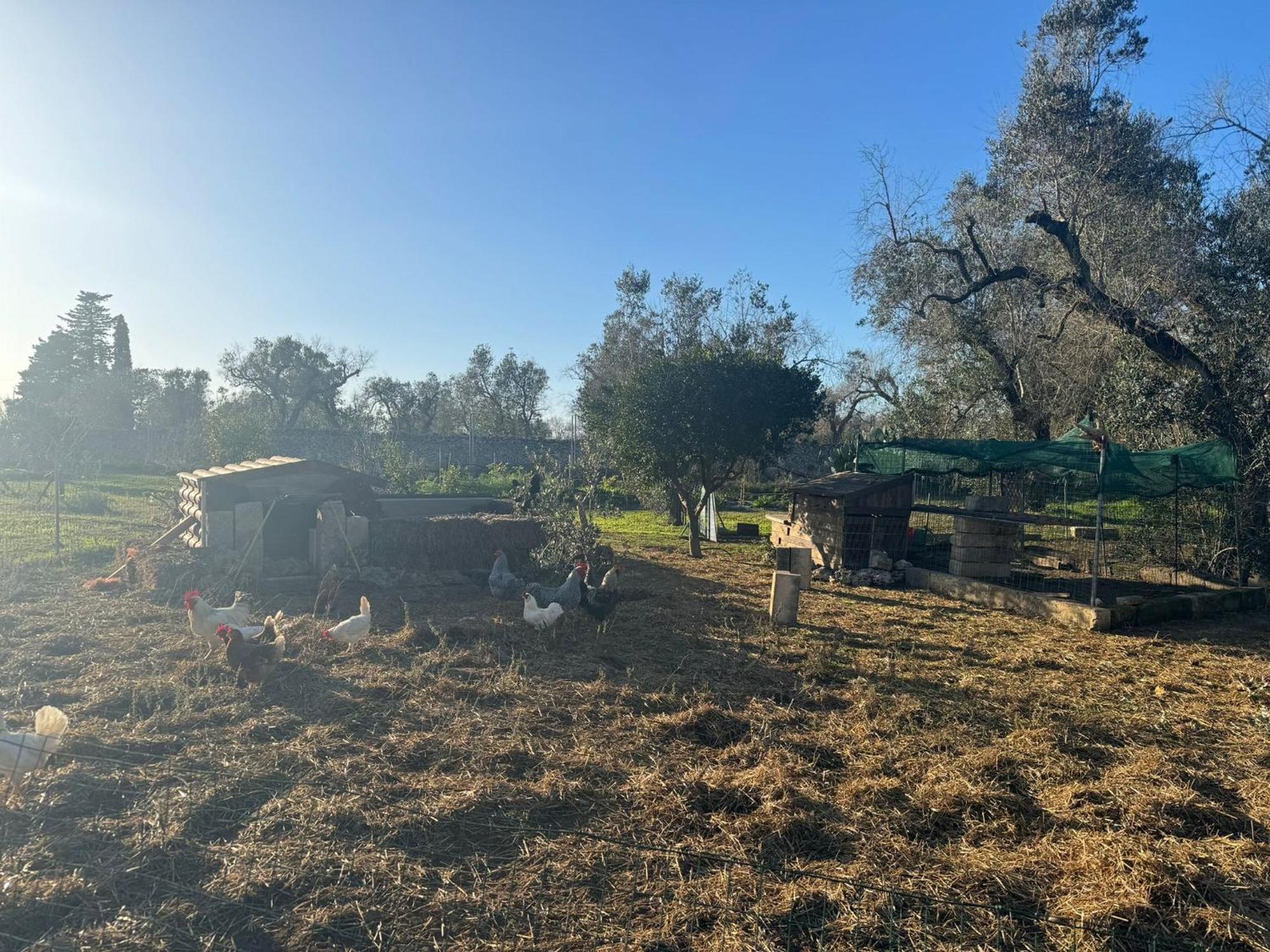 Tenuta Calitre Melendugno Exteriér fotografie